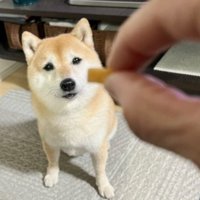 大好きなオヤツ