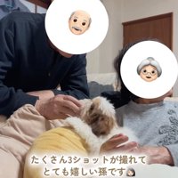 可愛がられる犬