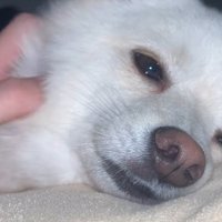 すっかりリラックス