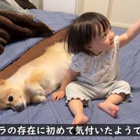 カメラを発見して、興味津々に