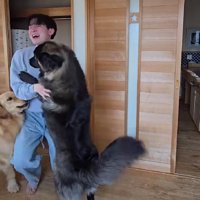 「なんであんなとこにいたの～！！」