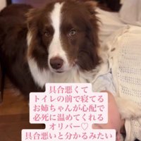 家族思いなオリバーちゃん