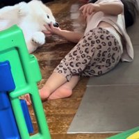 ぽちゃ子ちゃんもウットリ