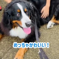 素敵な時間を過ごせたね