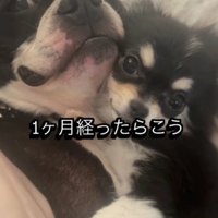 たまちゃんも心を開いた♡