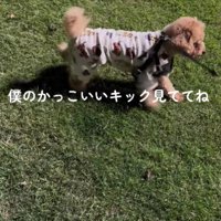「見て見て！」
