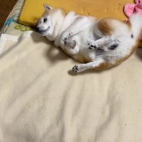 体勢を立て直すことに