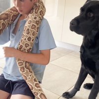 怒られる人形を見たえんぞう君の反応7