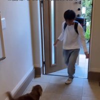 アムくんとお兄ちゃんの再会2