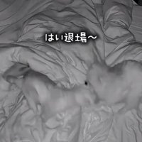 ぬいぐるみを引きずるレオくん