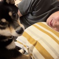 「どうしたもんですかね」