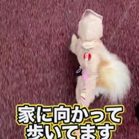 「もう帰る！」