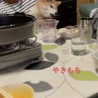 だんだんと悲しげな声に…