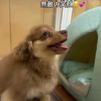 「見られてた…」