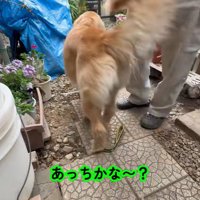 一生懸命な姿が愛おしい♡
