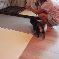 「ここがおうちだよ」