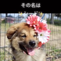 ずっと幸せでいようね