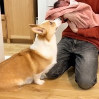 いい子でお座り