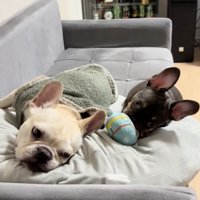 一緒にZZZ…