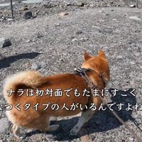 可愛がってもらえて大満足♪