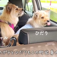 みんなでお迎えに行った