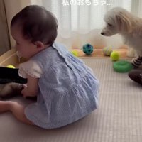 赤ちゃんとむぎちゃん