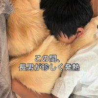 長男に寄り添う大型犬