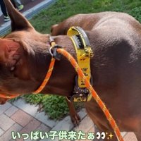子どもたちを見るよもぎくん