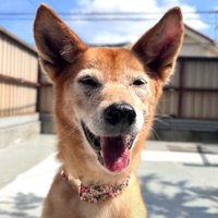 たくさんの愛で変われたよ！