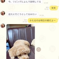 お母さんからの返信