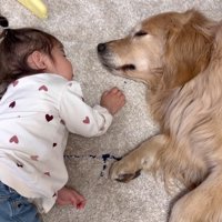 微笑ましい光景でした♡