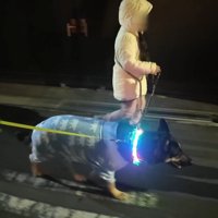 一緒にお散歩