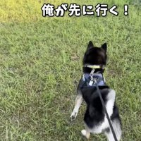 溢れるパパの男気