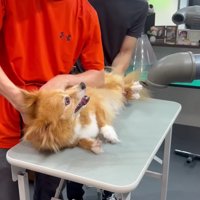 徐々に落ち着いて…