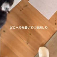 また移動すると…