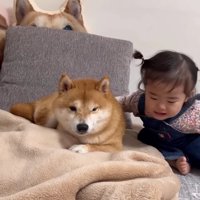 優しさ伝わる光景に涙…