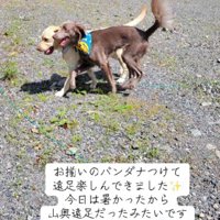 遠足を満喫♪