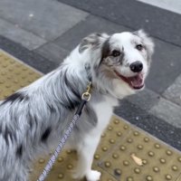 「わかってるよ！」