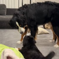 お顔が近づいたかと思うと…