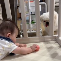 うまく掴めない…！