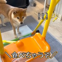 ママさんが「食べちゃうぞ」と言ったら…