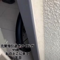 投稿主さんが帰宅すると…