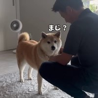 「軽トラ買うってコト？」