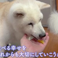 大喜びでパクパク