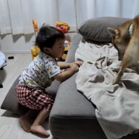 ソファに登ろうとする男の子