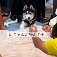 塩対応のアイスくん2