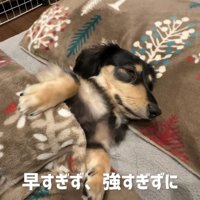 早すぎず、強すぎず
