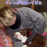テールちゃんと添い寝