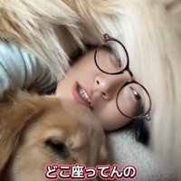 顔の上に乗る犬
