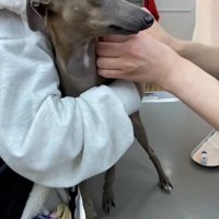 先生をにらむティナちゃん2